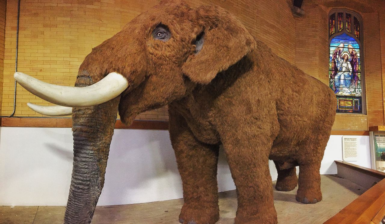 The Cohoes Mastodon