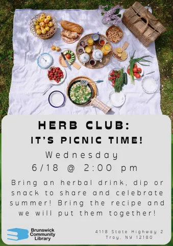 Photo of picnic blanket and snacks
