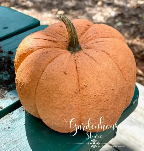 Orange pumpkin
