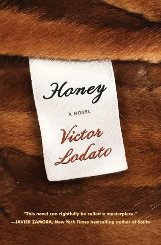 Book cover to Honey by Victor Lodato