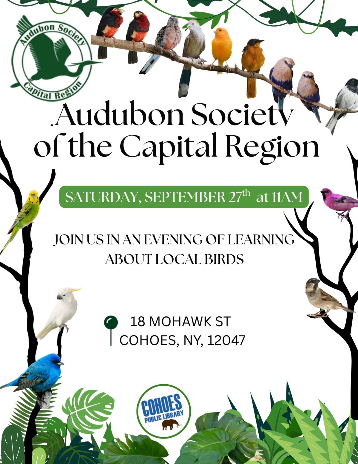 Audubon Society at the Cohoes Public Library